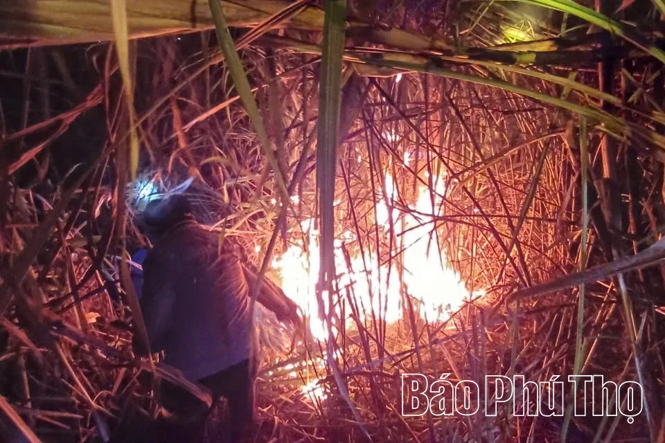 Dập tắt vụ cháy rừng tại phường Thống Nhất