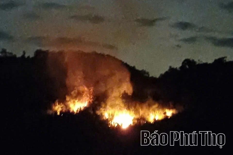 Dập tắt vụ cháy rừng tại phường Thống Nhất