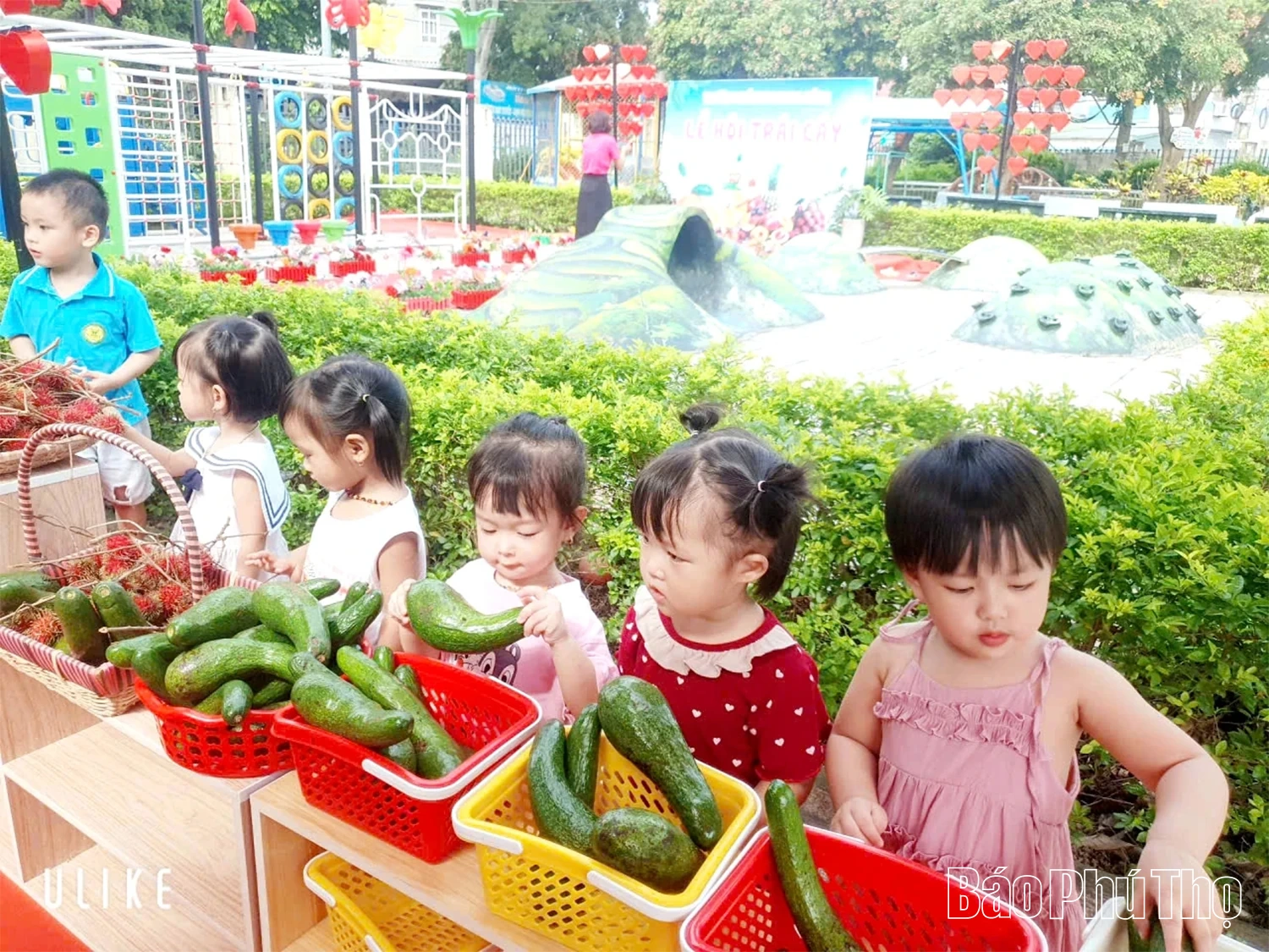 Ngày hè với các bé mầm non