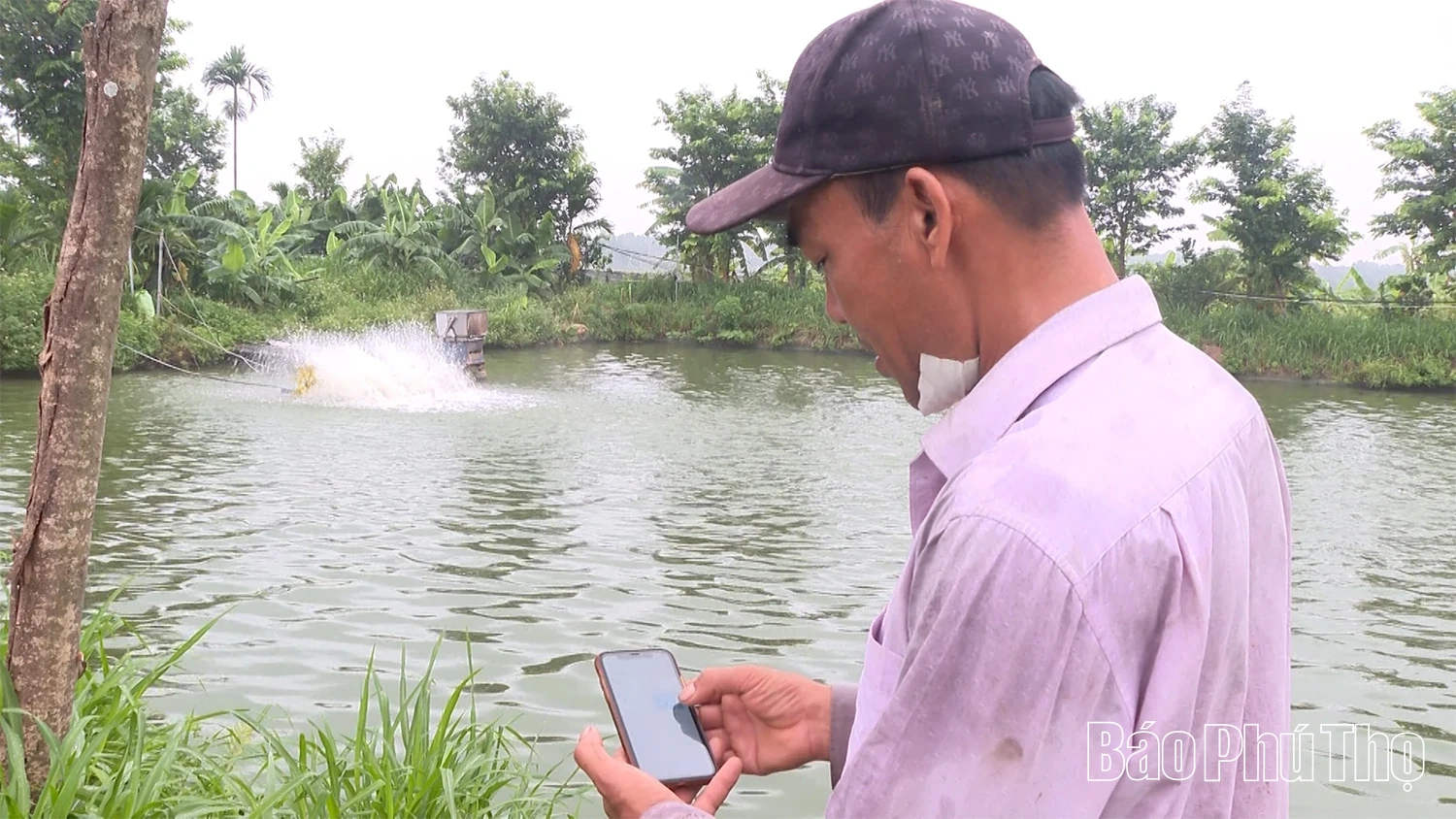 Công nghệ nông nghiệp thông minh: Lời hứa và thách thức từ ao cá