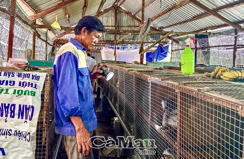 Phong Hiệp vươn lên với nhiều mô hình kinh tế hiệu quả