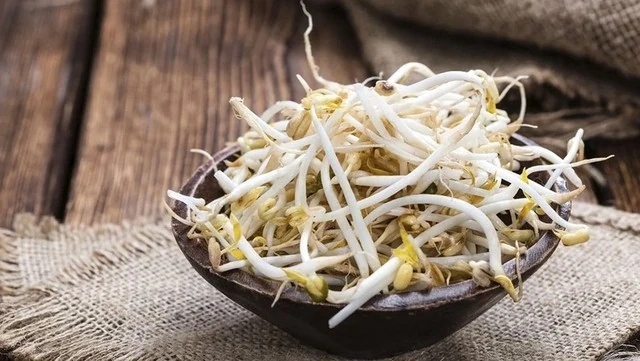 5 lợi ích sức khỏe tuyệt vời của giá đỗ ít người biết