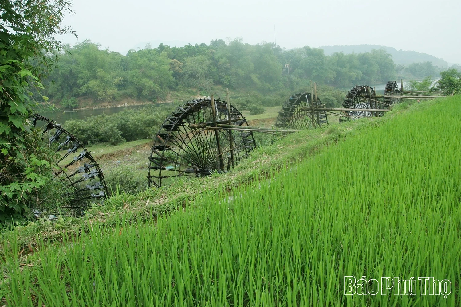 Du lịch Phú Thọ bừng sáng từ chiều sâu văn hóa