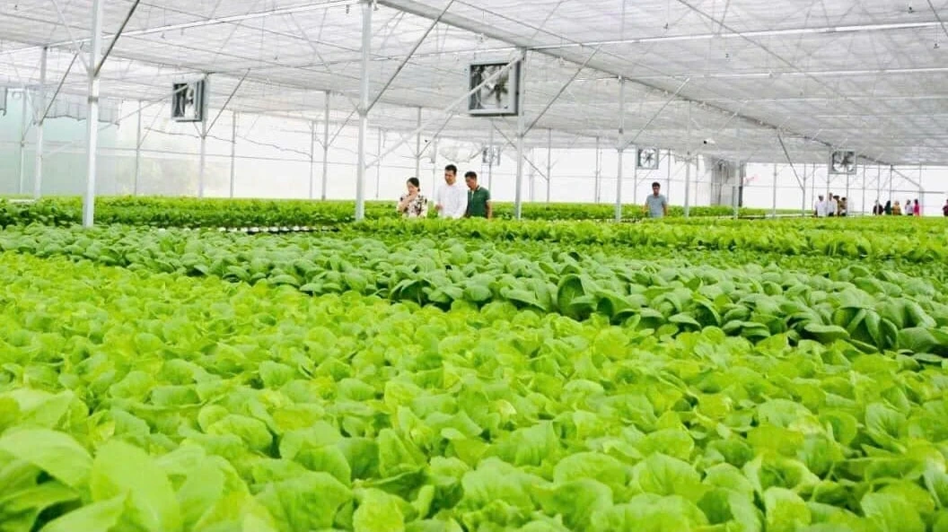 Tây Ninh hướng tới trung tâm nông nghiệp công nghệ cao hàng đầu khu vực