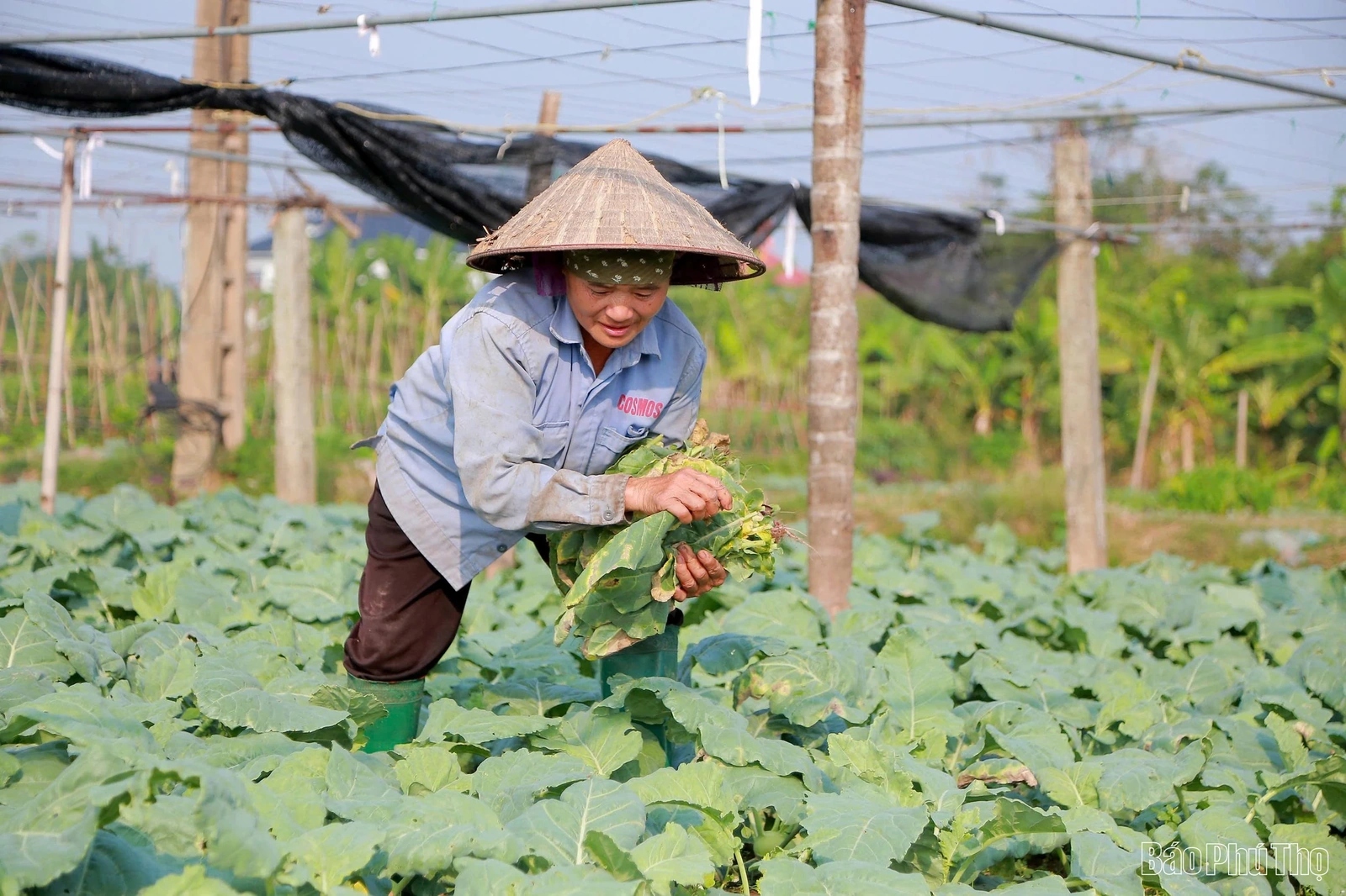 Nơi tiềm năng được đánh thức