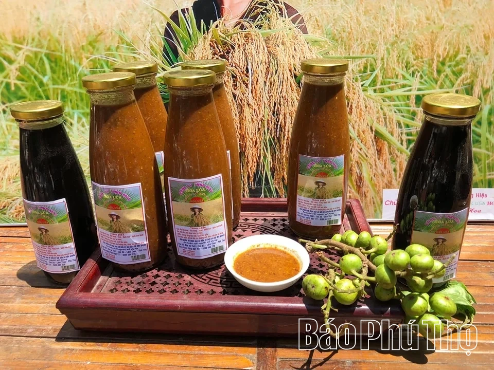 Nơi tiềm năng được đánh thức