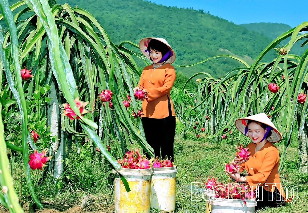 Tự hào chiến thắng Xuân Trạch