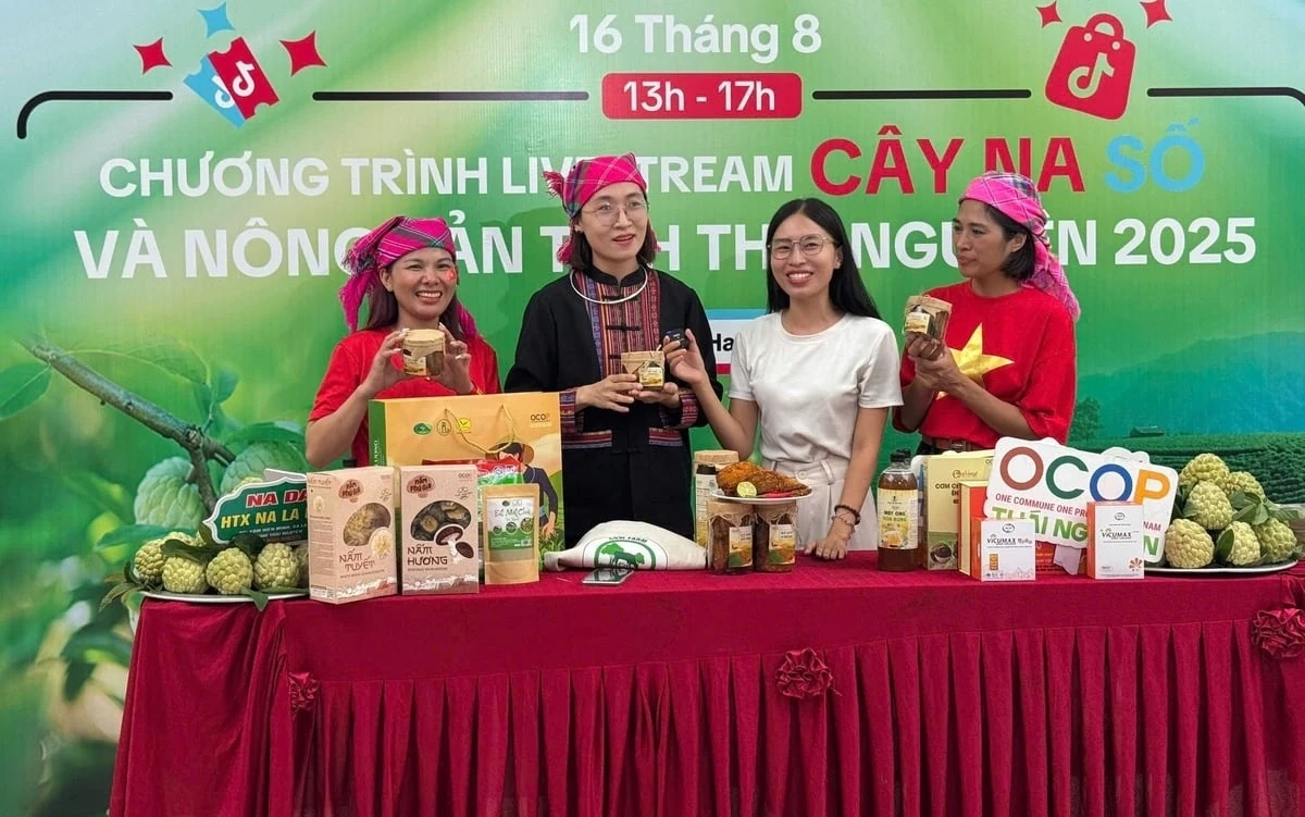 Thái Nguyên mang cây na số lên Tiktok