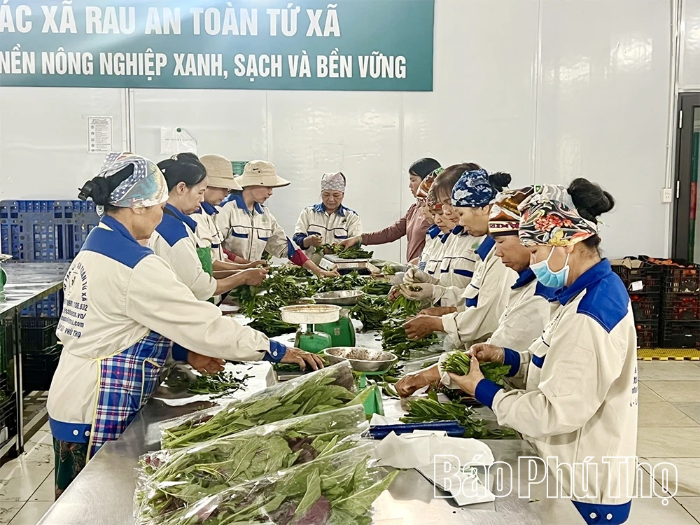 Phùng Nguyên bứt phá từ nội lực kinh tế tư nhân