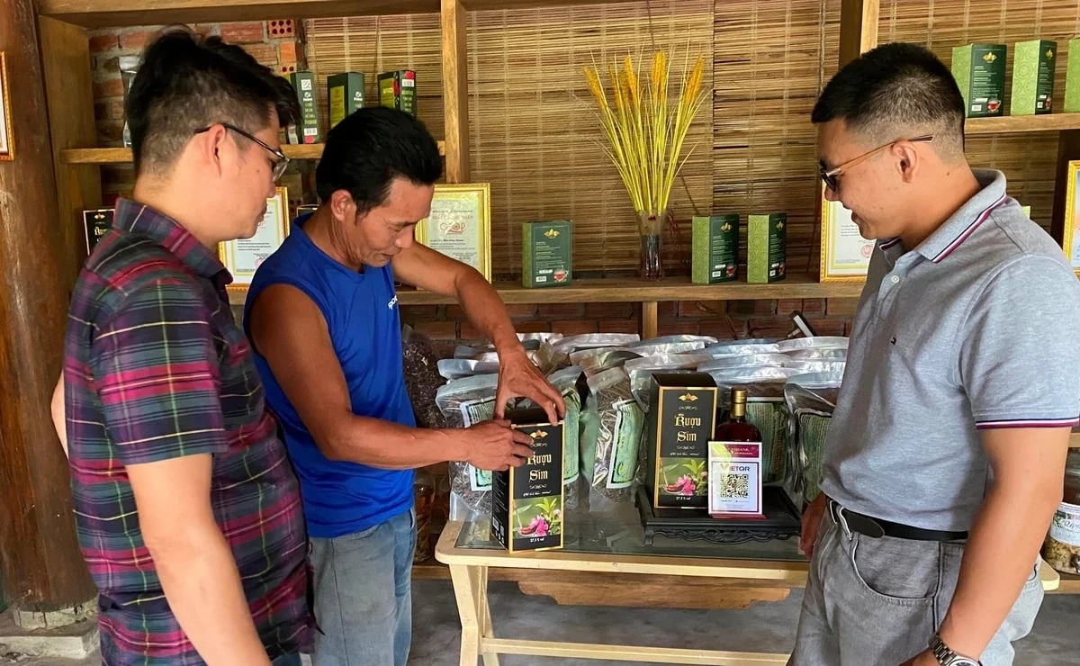 Đà Nẵng nhân rộng mô hình sinh kế hướng đến lâm nghiệp bền vững