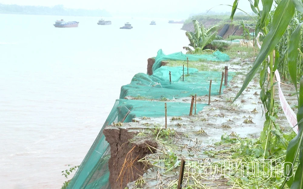 Tổ chức cắm biển cảnh báo sạt lở tại bờ sông Đà, xã Tu Vũ