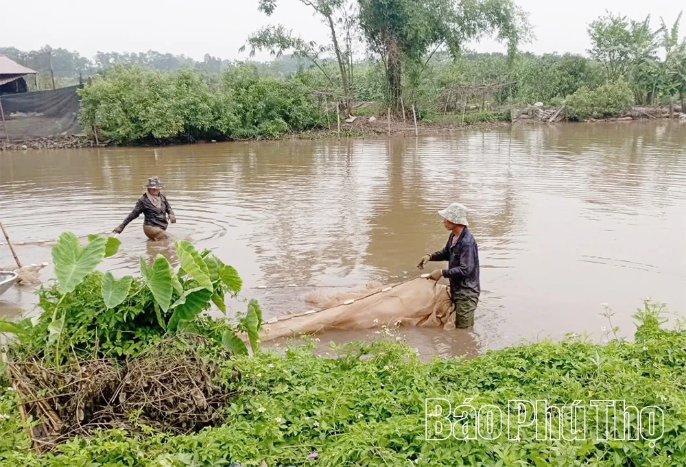 Đảm bảo tính mạng, tài sản cho nhân dân trước ảnh hưởng cơn bão số 5