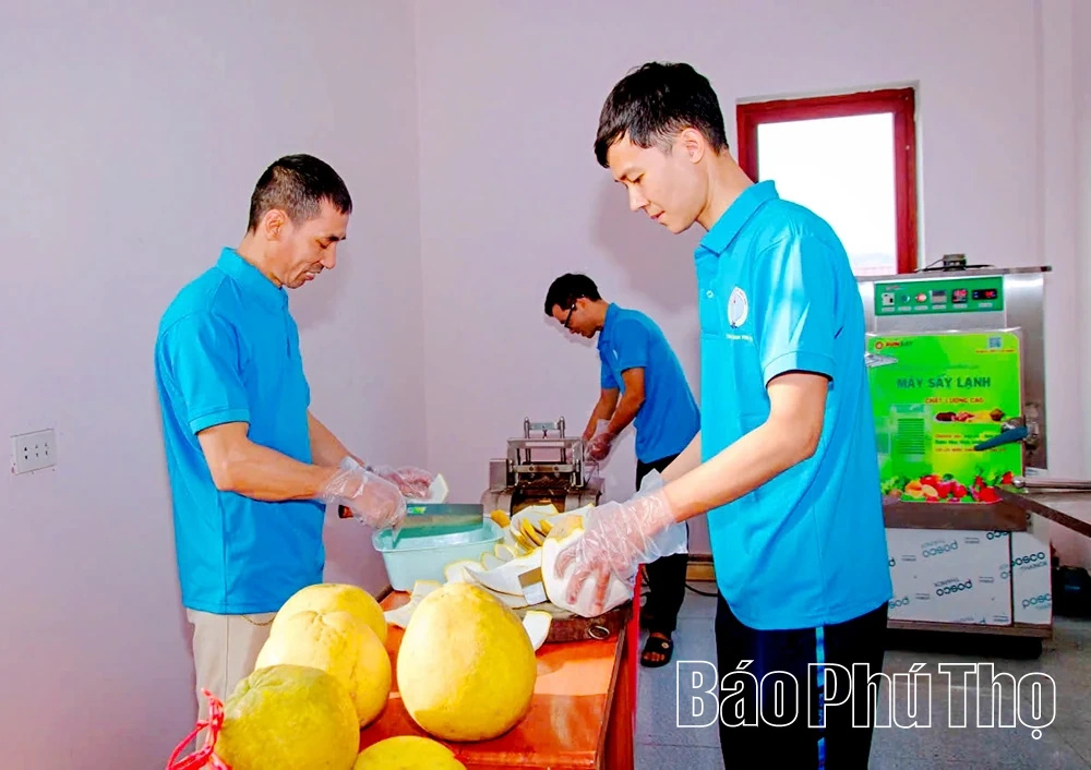 Xã Chí Đám thúc đẩy phát triển sản xuất hướng hàng hóa