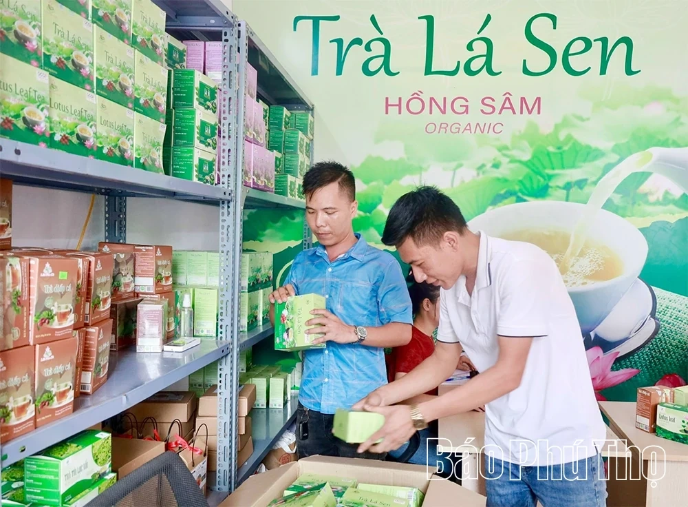 Enhancing the Value of Agricultural Products under VietGAP Standards