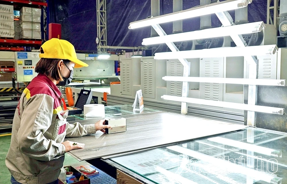 Tam Dương quyết tâm thực hiện hiệu quả khâu đột phá trong giải phóng mặt bằng