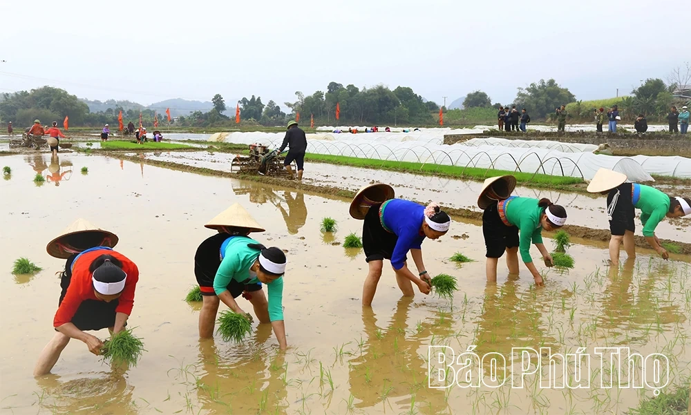 Bảo tồn giá trị di sản Lễ hội Khai hạ của dân tộc Mường