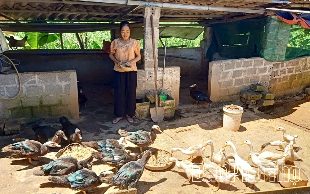 Phòng giao dịch Ngân hàng Chính sách xã hội Cao Phong: Khơi thông dòng vốn ưu đãi