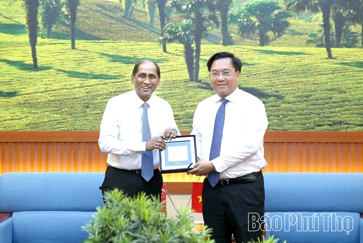 Chủ tịch UBND tỉnh Trần Duy Đông tiếp và làm việc với Đoàn Đại sứ Singapore tại Việt Nam