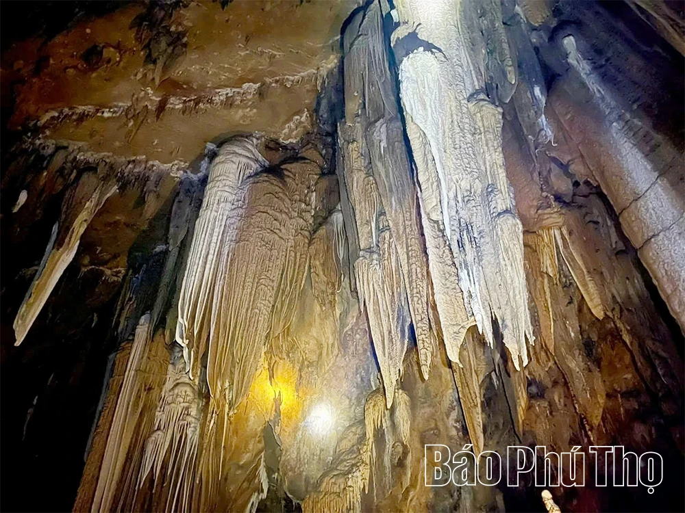 Động Tớn Nam Sơn - “Nàng công chúa ngủ trong rừng” của vùng cao Vân Sơn