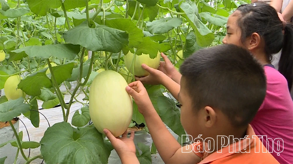 Kỳ 3: Kết nối nông nghiệp và du lịch: Hướng đi bền vững