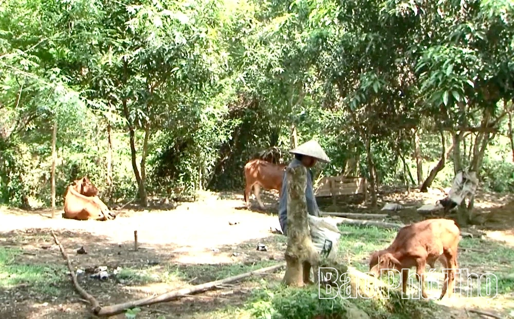 Kiểm tra việc thực hiện Chương trình mục tiêu quốc gia