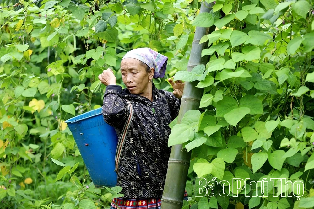 Hợp lý nguồn vốn, tạo đột phá cho vùng đồng bào dân tộc thiểu số
