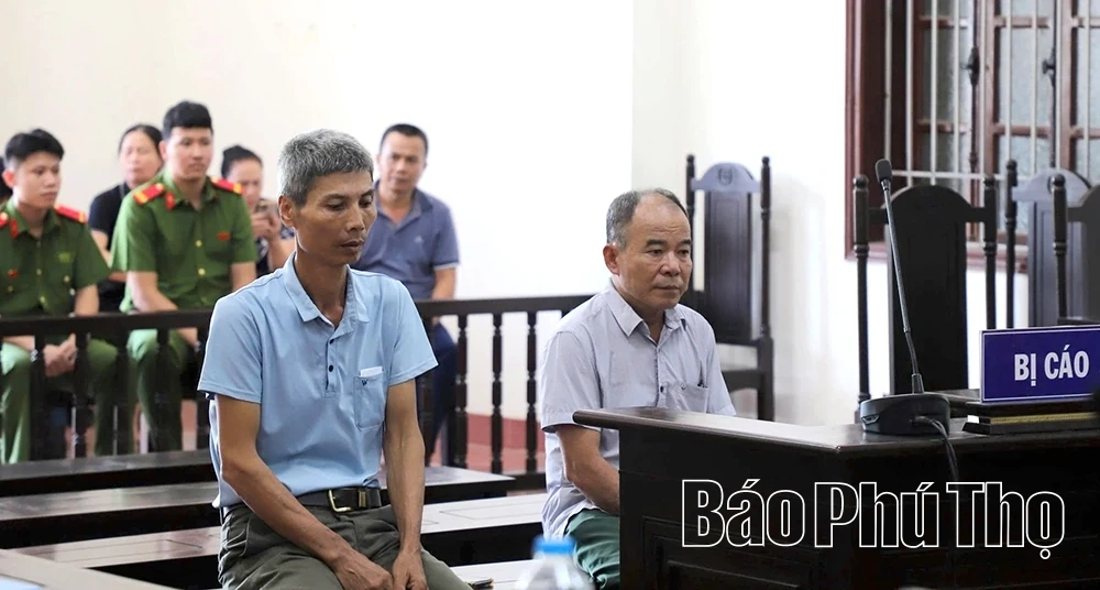 Nguyên trưởng thôn lĩnh 4 năm tù vì bán đất nghĩa trang trái phép