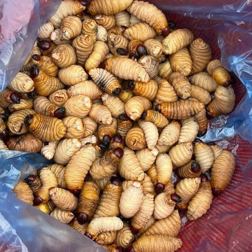 Háo hức chợ phiên xứ Mường