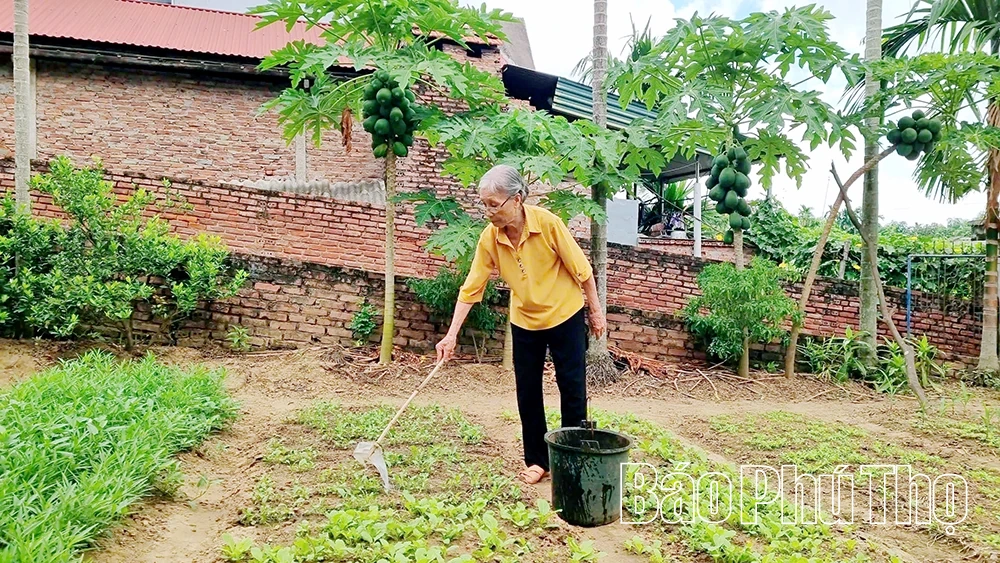 Xã Liên Minh: Lan tỏa những điển hình tiên tiến