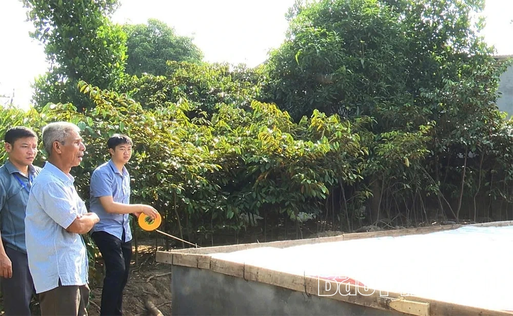 Lập lại trật tự đô thị ở phường Phong Châu