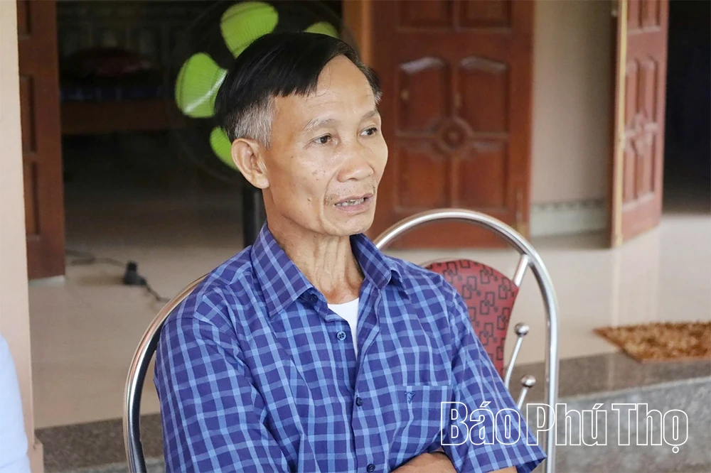 Nâng giá trị, vực danh tiếng bưởi đặc sản Bằng Luân