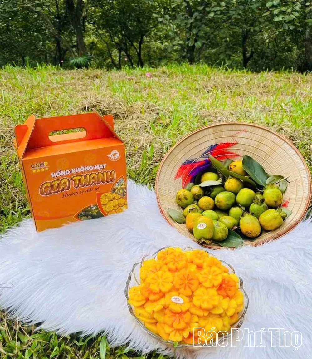 Trái ngọt từ vùng đất giữa