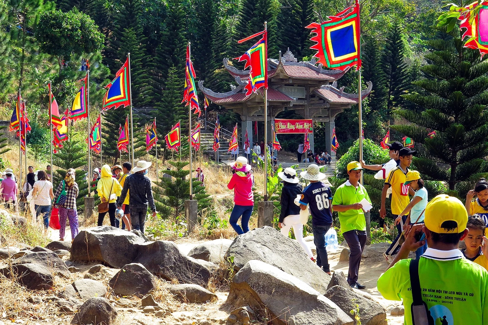 Phát triển du lịch dưới tán rừng