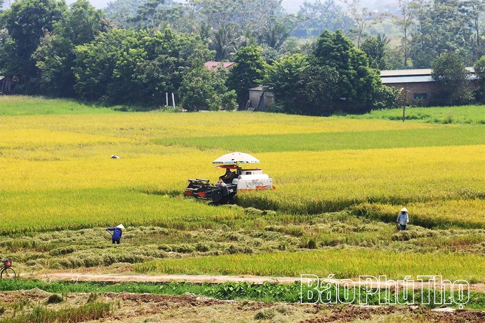 Countryside Painting