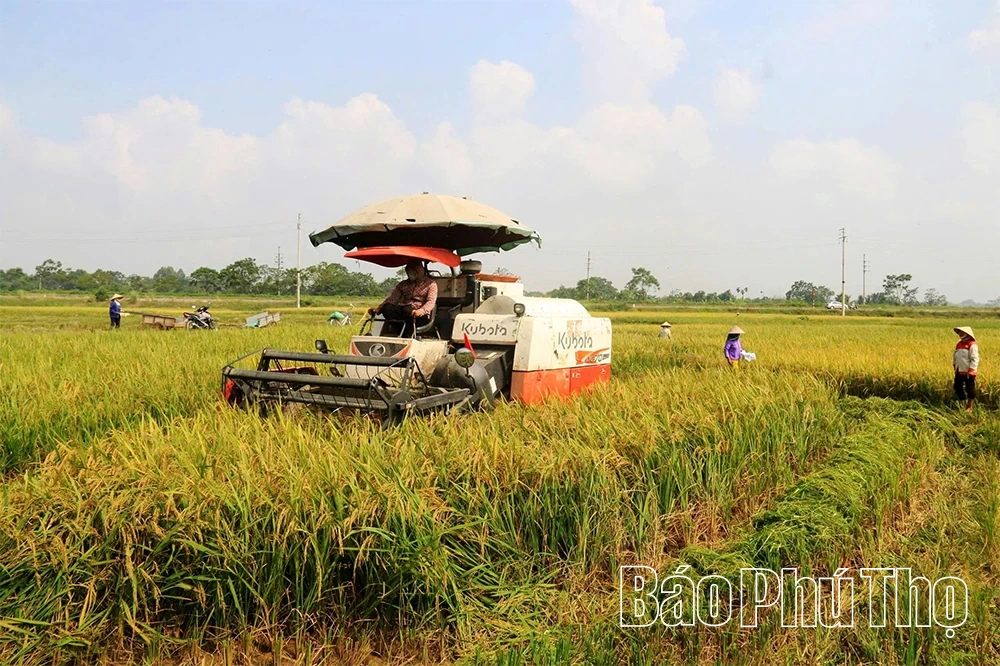 Bức họa đồng quê