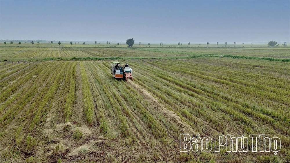 Bức họa đồng quê