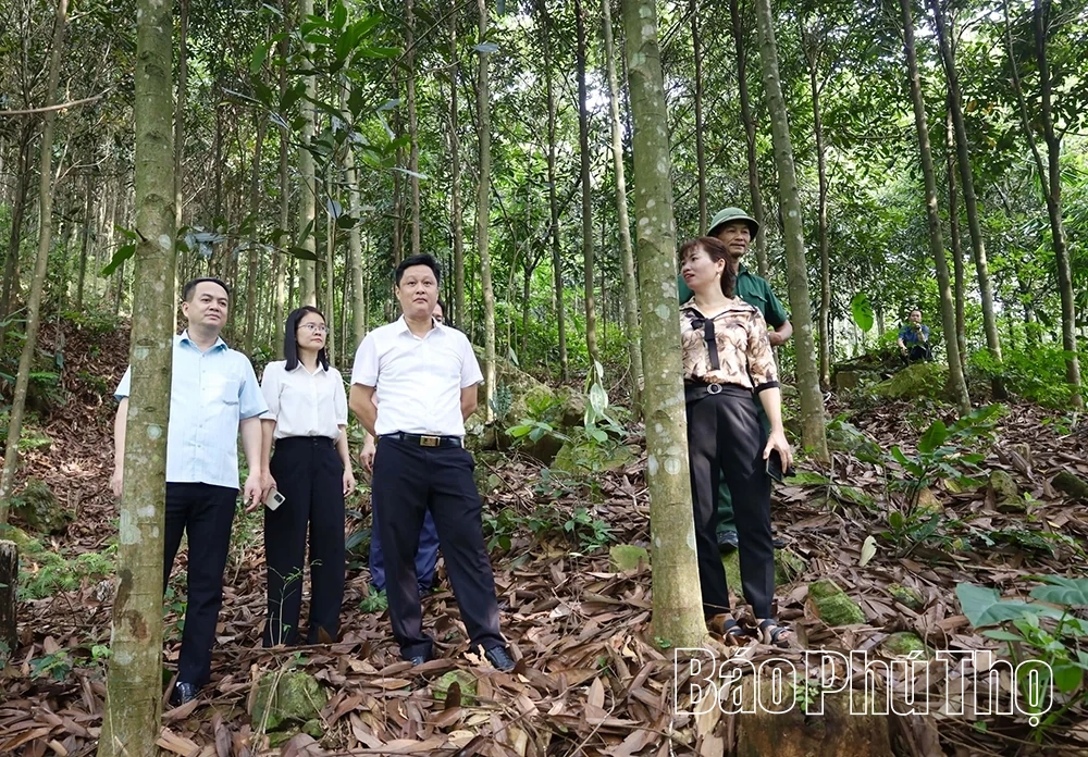 Đưa nghị quyết vào cuộc sống ở xã vùng cao Xuân Viên