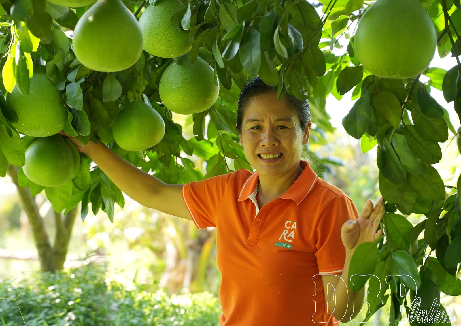 Trái ngọt từ nông nghiệp xanh