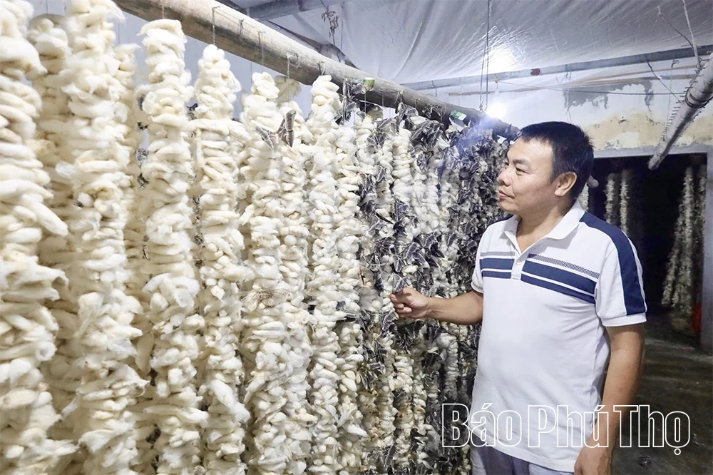 Đẩy mạnh phát triển nông nghiệp theo hướng sản xuất hàng hoá