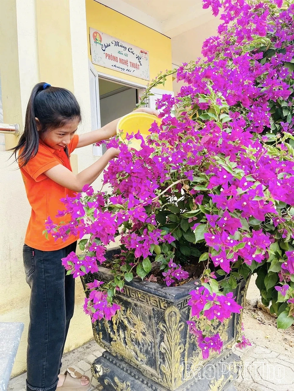 Năm học mới ở Trường Tiểu học Tân Phượng