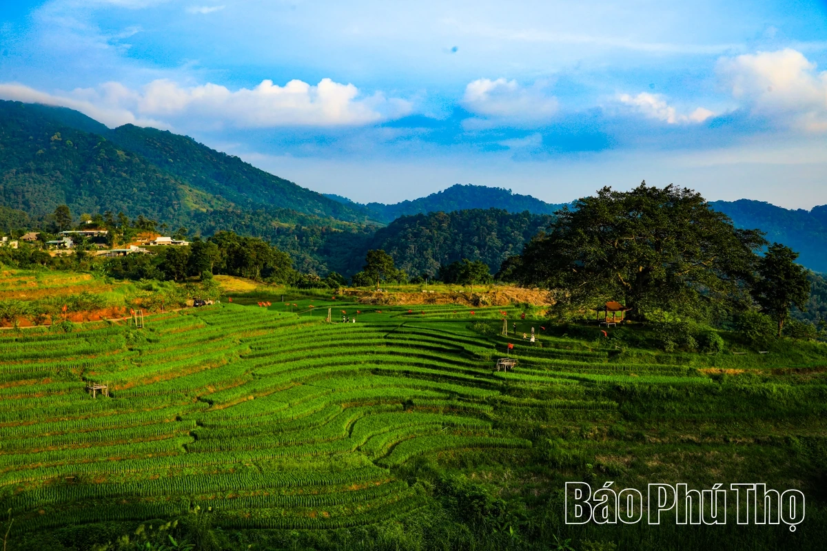 Thơ mộng bản Mừng