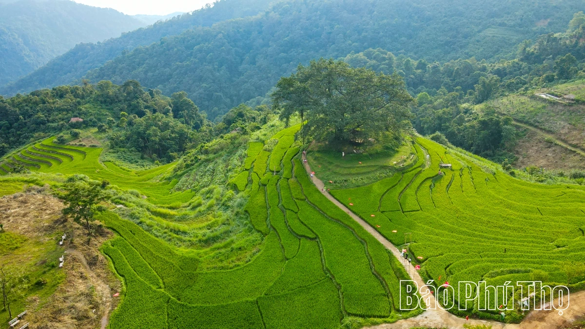 Thơ mộng bản Mừng