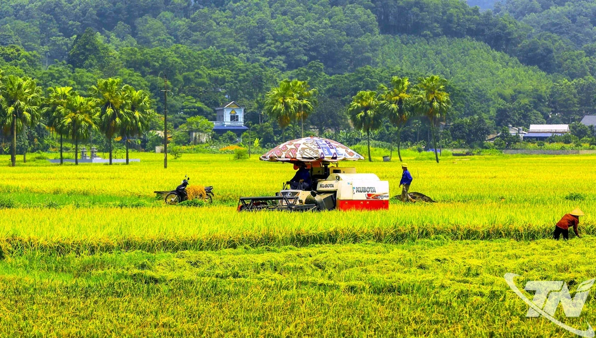 Nhịp sống mới ở những miền quê cũ