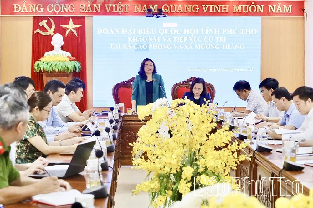 Đoàn ĐBQH tỉnh khảo sát, tiếp xúc cử tri tại các xã Cao Phong và Mường Thàng