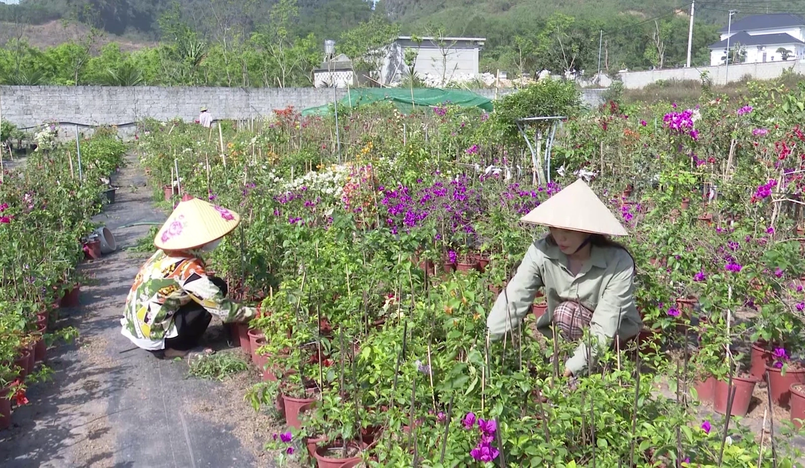 Lan tỏa phong trào thi đua yêu nước
