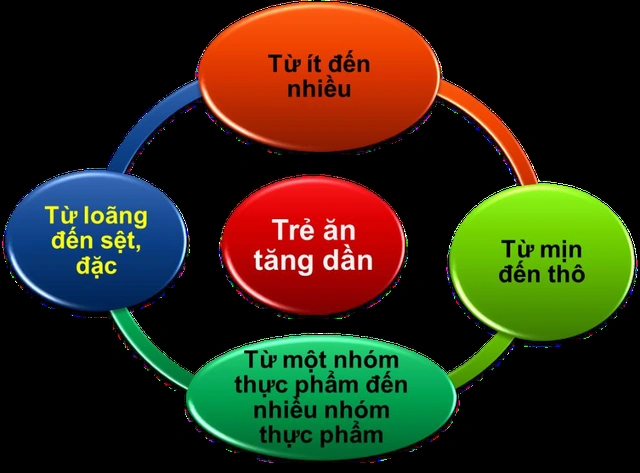 Nắm vững 5 nguyên tắc vàng để hành trình ăn dặm của bé thành công