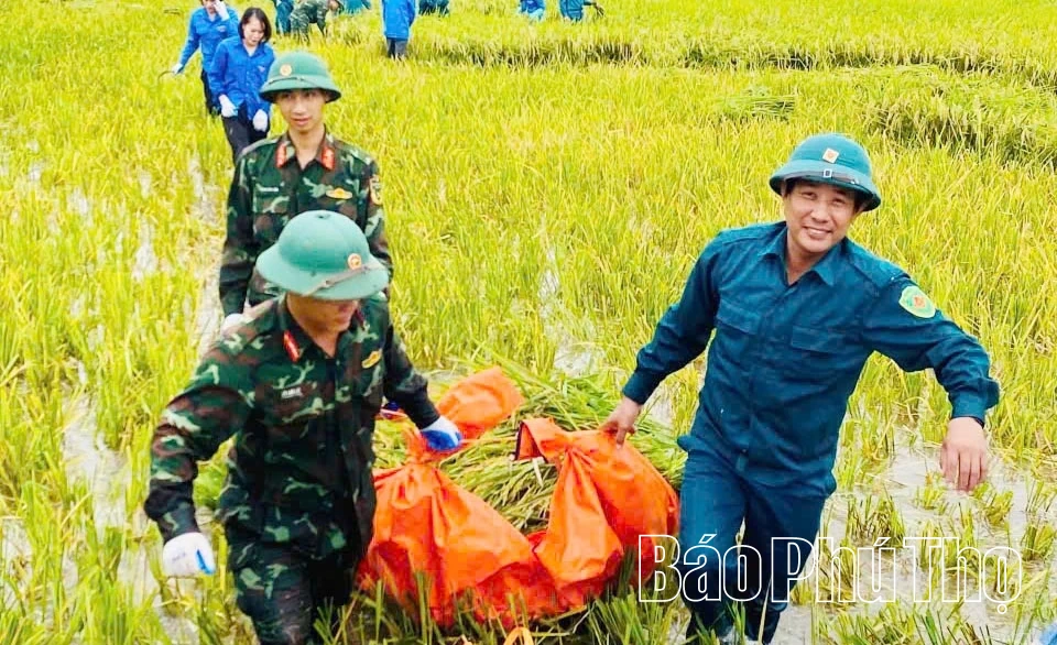 Áo xanh giúp dân trong bão