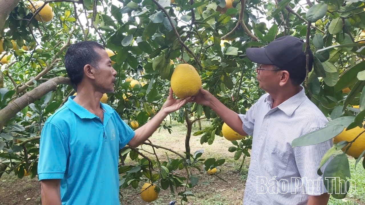 Xã Tân Lạc: Nở rộ phong trào thi đua yêu nước