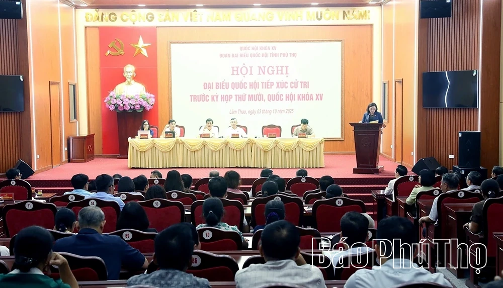 Đoàn đại biểu Quốc hội tỉnh tiếp xúc cử tri trước Kỳ họp thứ 10, Quốc hội khóa XV