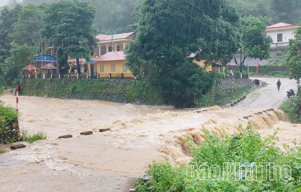 Cảnh báo lũ trên các sông, suối do ảnh hưởng mưa lớn